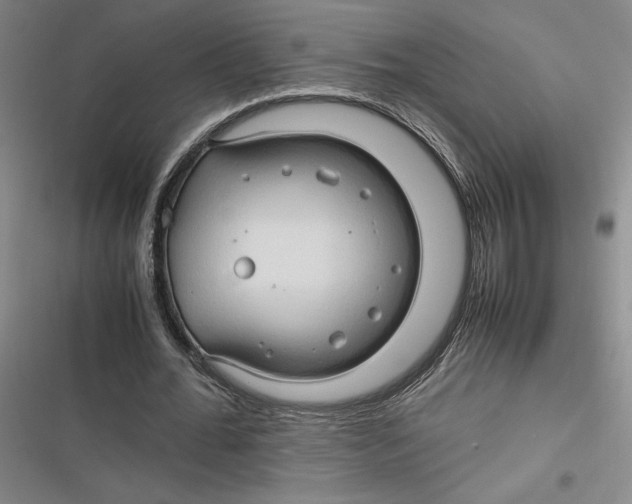 X0000116680676201001111332