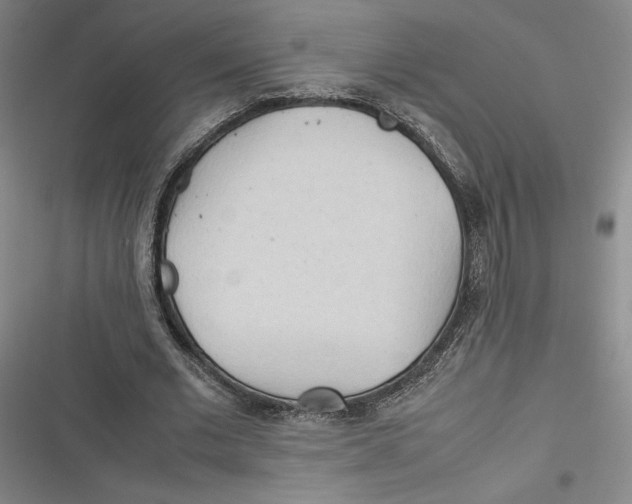 X0000116680677201001111332