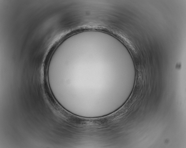 X0000116680678201001111332