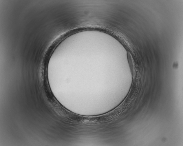 X0000116680680201001111332