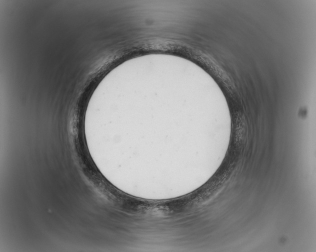 X0000116680683201001111332