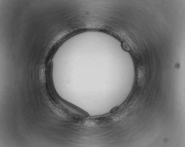 X0000116680684201001111332