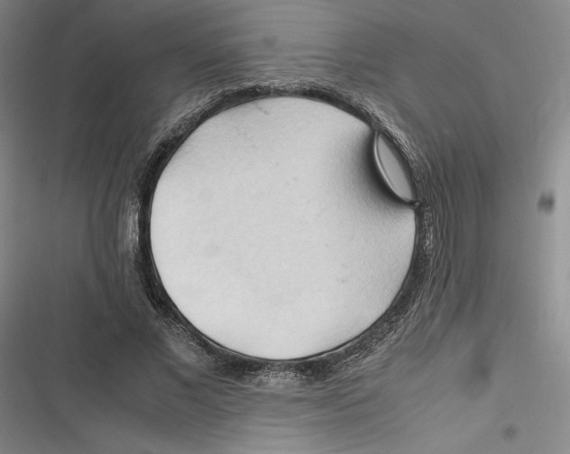 X0000116680685201001111332