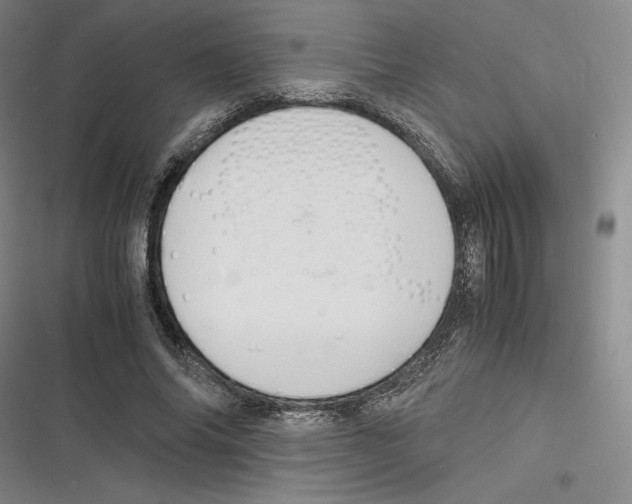 X0000116680686201001111332