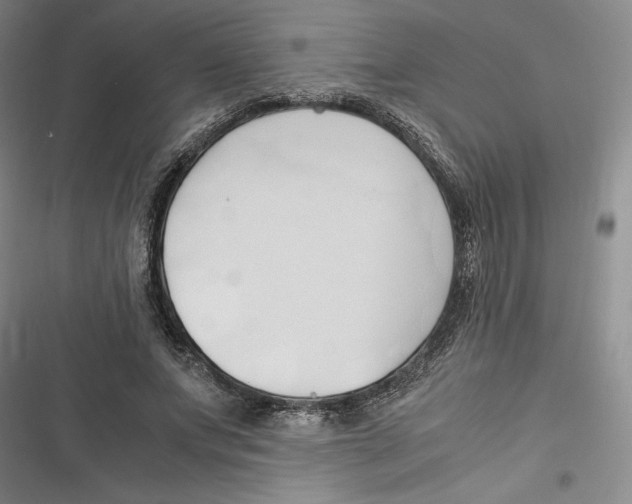 X0000116680687201001111332