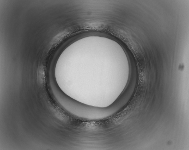 X0000116680688201001111332