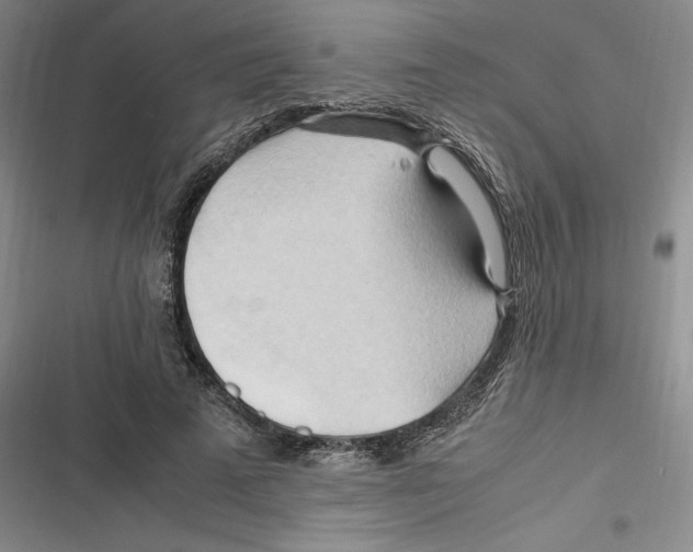 X0000116680689201001111332