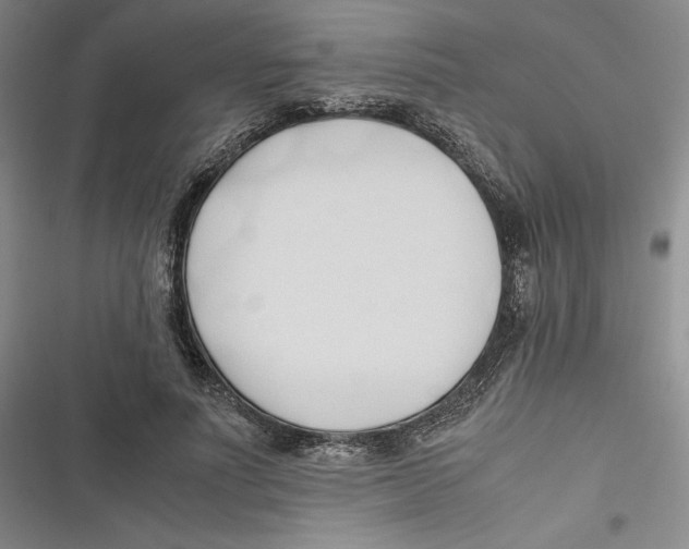 X0000116680691201001111332