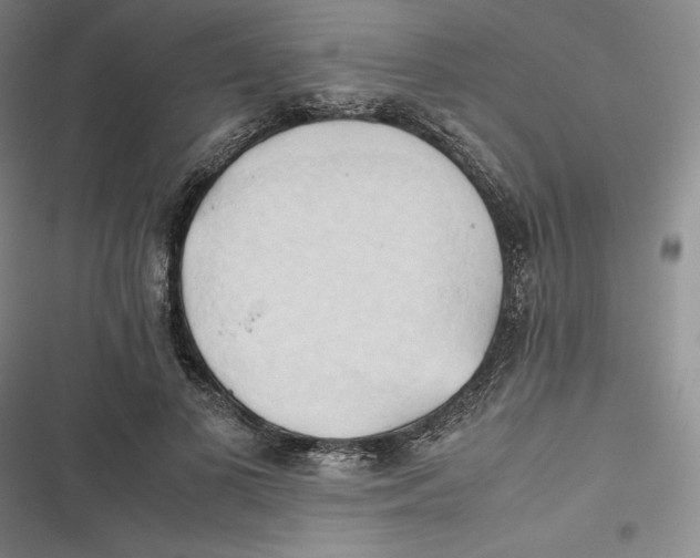 X0000116680693201001111332