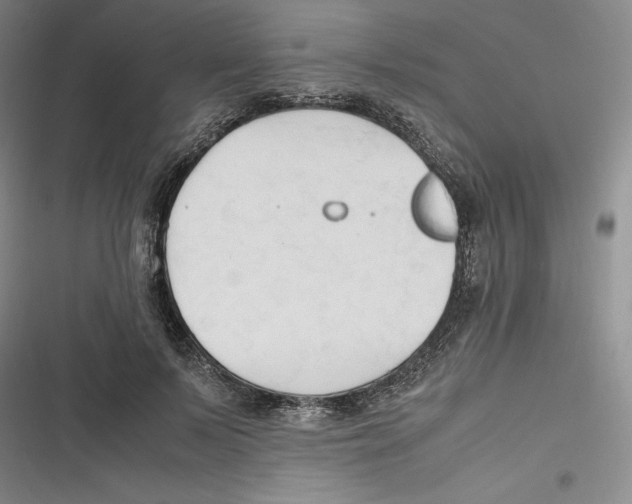 X0000116680695201001111332