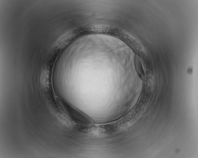 X0000116680696201001111332