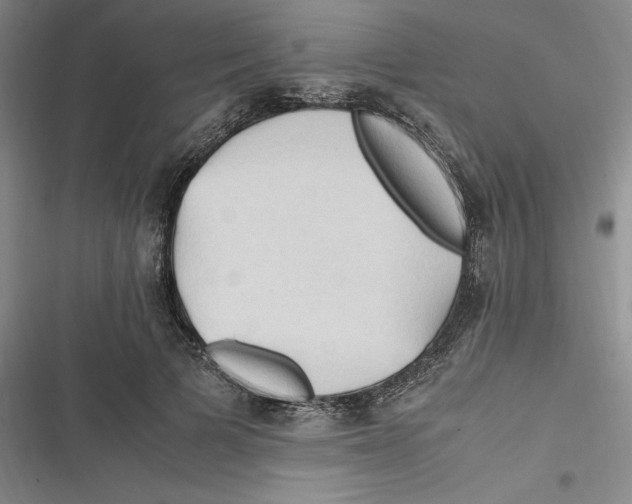 X0000116680697201001111332