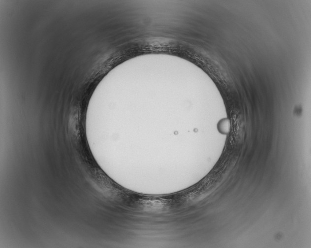 X0000116680698201001111332