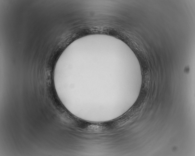 X0000116680699201001111332