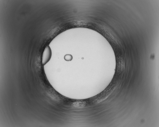 X0000116680700201001111332