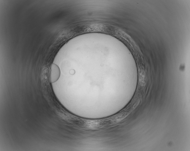 X0000116680701201001111332