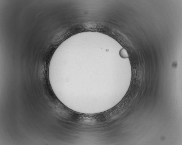 X0000116680702201001111332