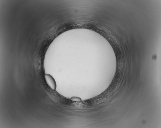 X0000116680703201001111332