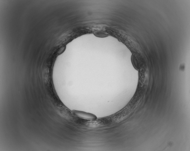 X0000116680704201001111332