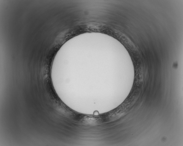 X0000116680706201001111332