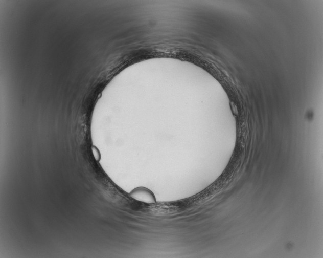 X0000116680707201001111332