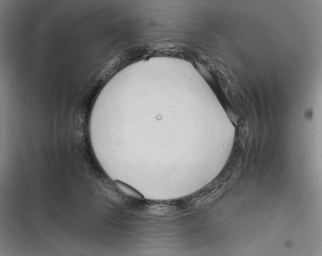 X0000116680708201001111332