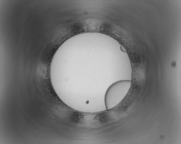 X0000116680709201001111332