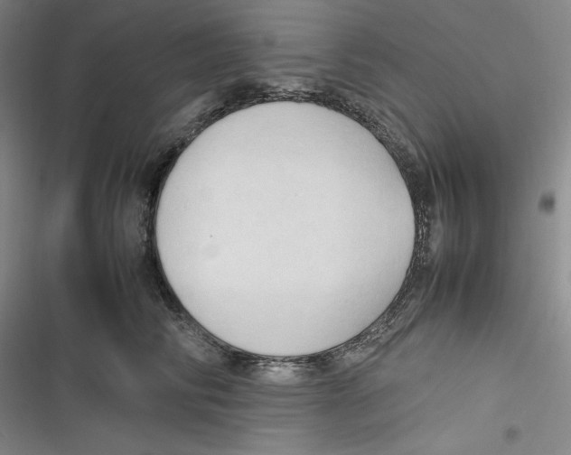 X0000116680710201001111332