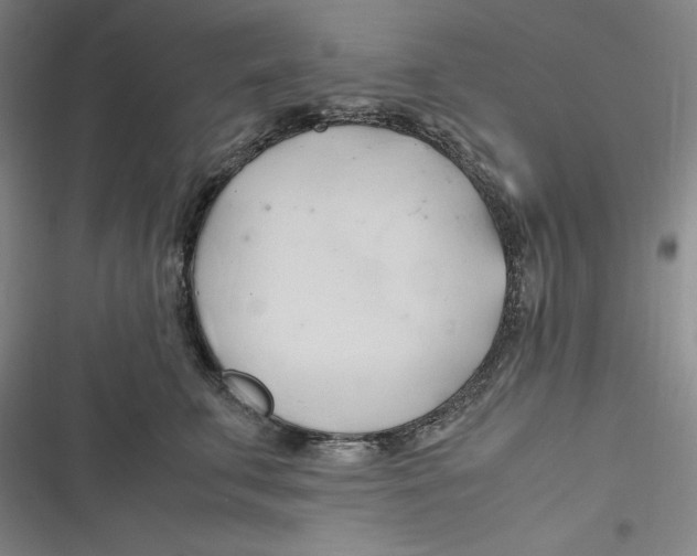 X0000116680711201001111332