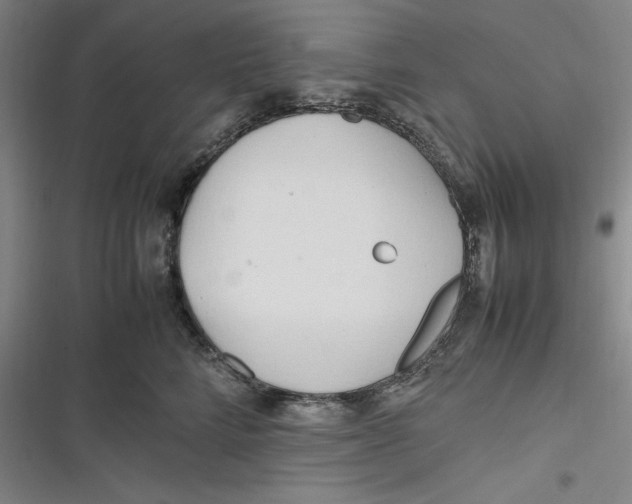 X0000116680712201001111332