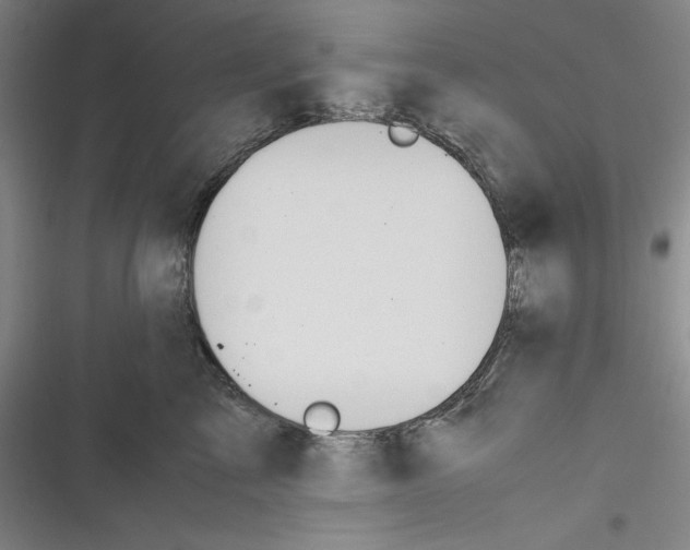 X0000116680713201001111332