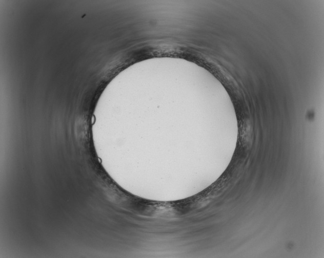 X0000116680715201001111332