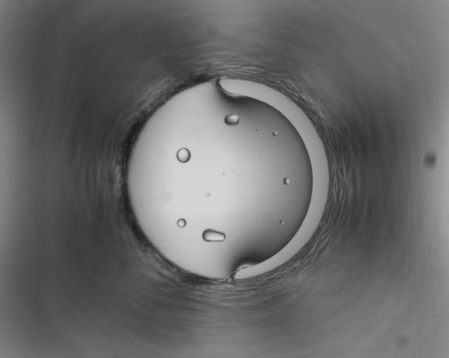 X0000116680716201001111332