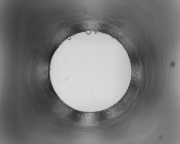 X0000116680717201001111332