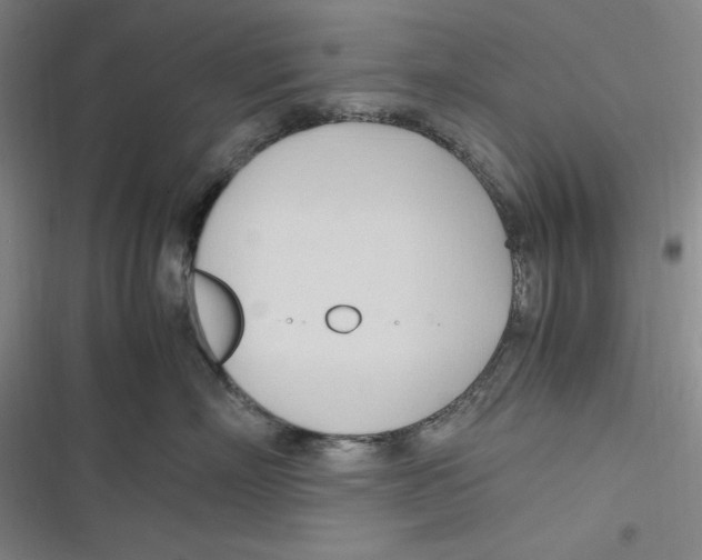 X0000116680718201001111332