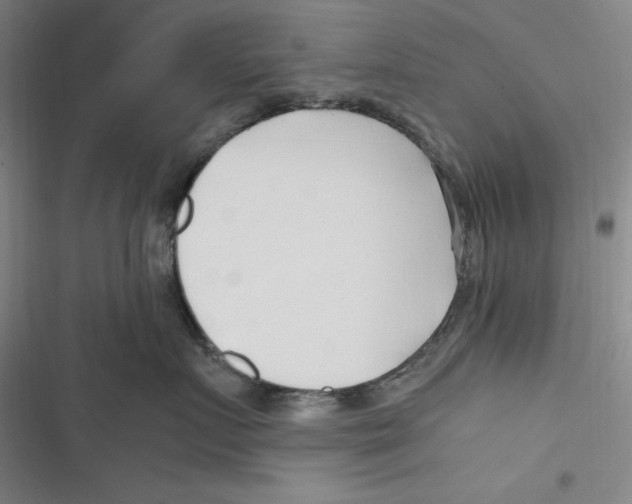 X0000116680719201001111332