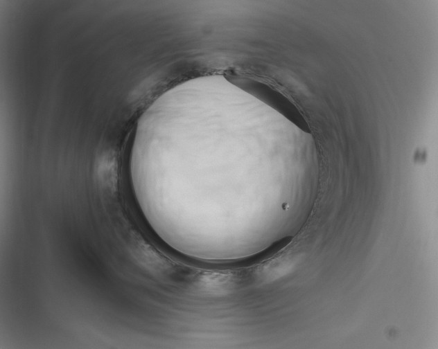 X0000116680720201001111332