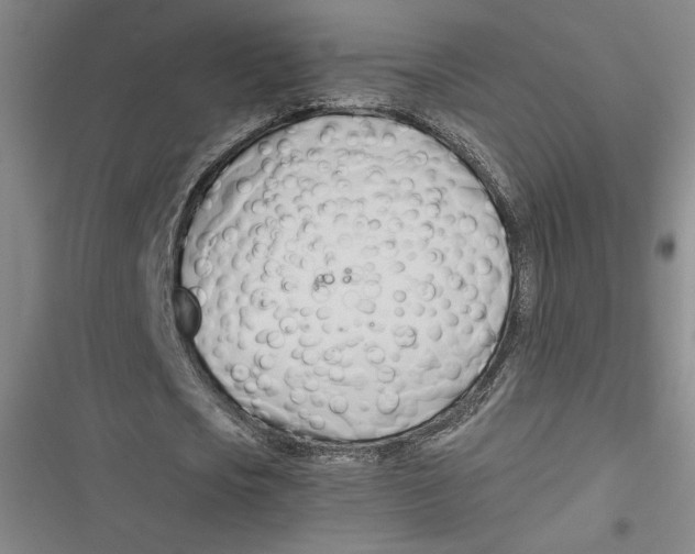 X0000116680721201001111331