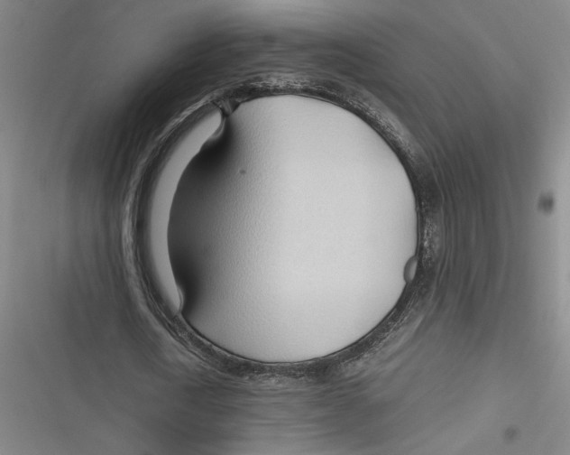 X0000116680722201001111331