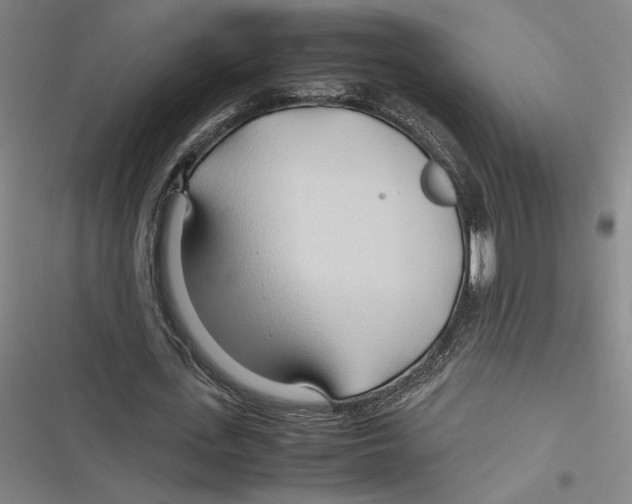 X0000116680723201001111331