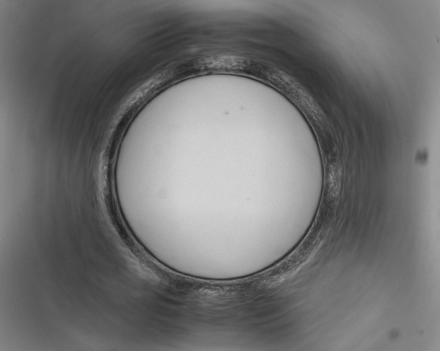 X0000116680725201001111331