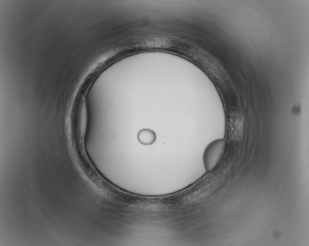 X0000116680726201001111331