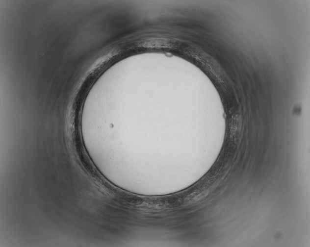 X0000116680727201001111331