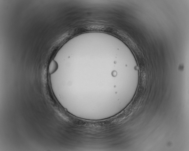 X0000116680729201001111331