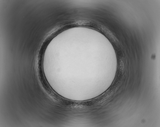 X0000116680730201001111331