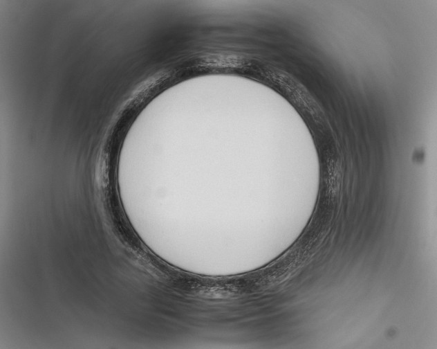 X0000116680731201001111331