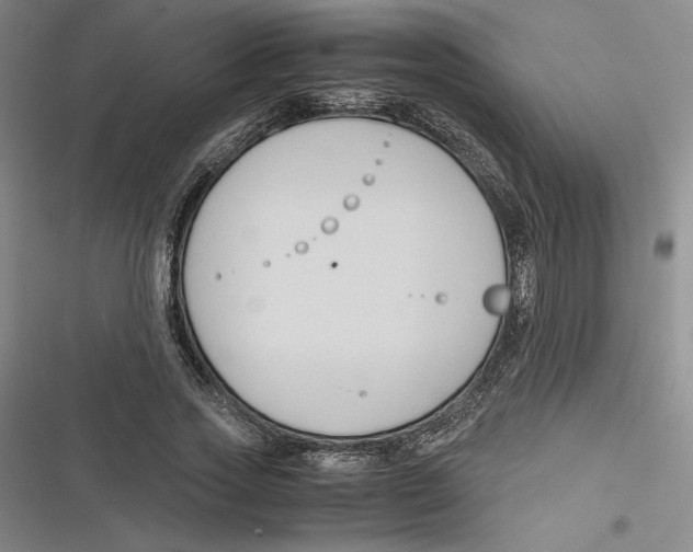 X0000116680733201001111331