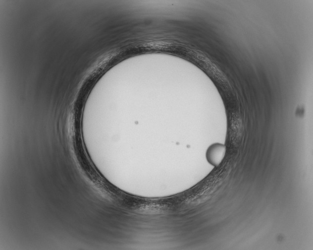 X0000116680734201001111331