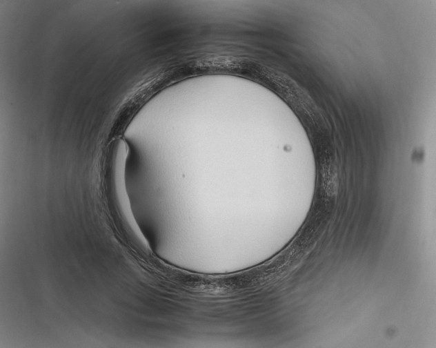 X0000116680735201001111331