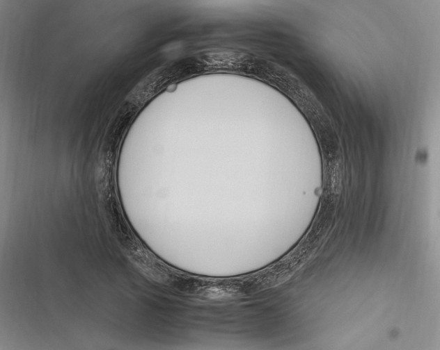 X0000116680737201001111331